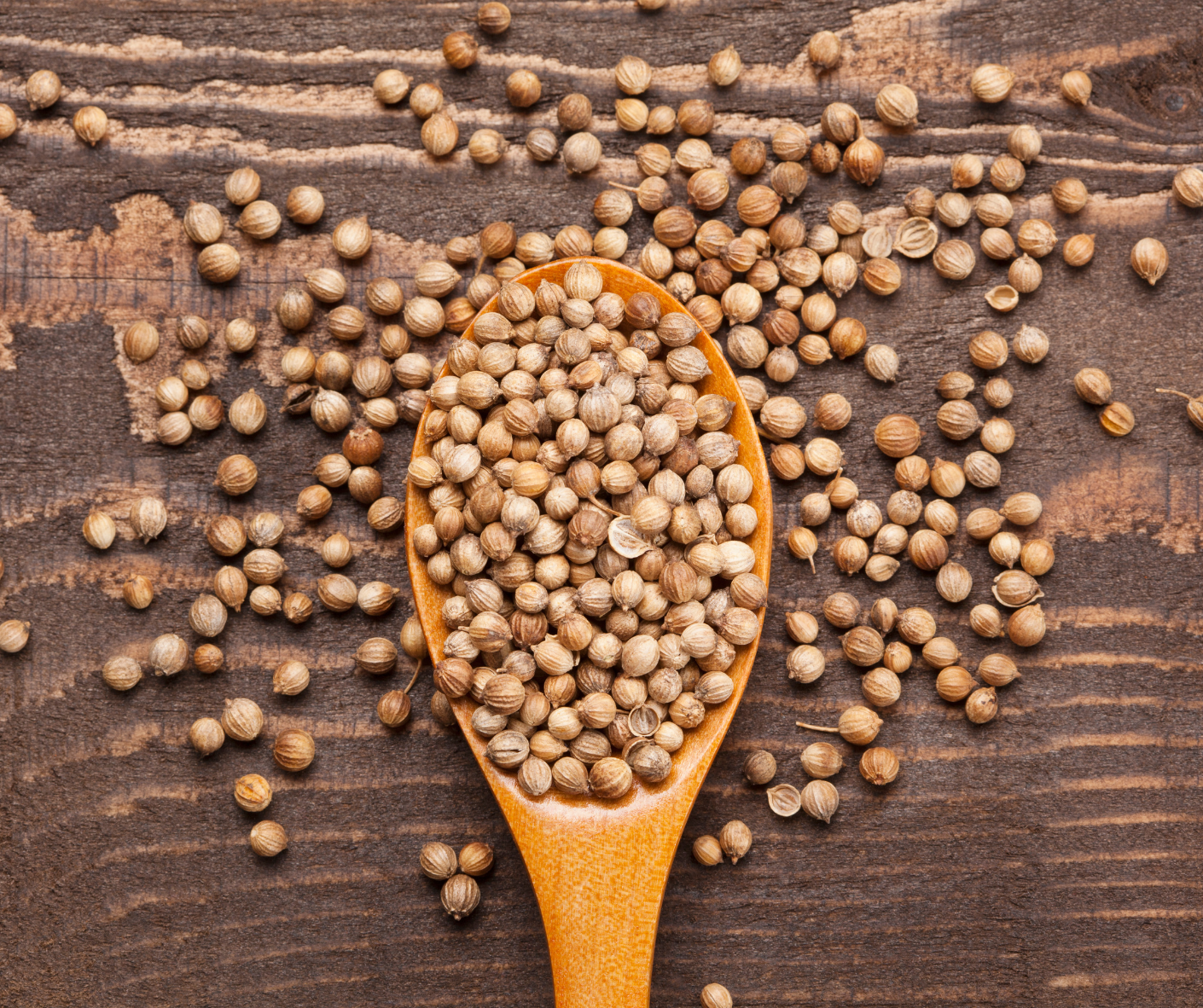 Coriander Powder (Dhania Powder)